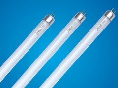 Fluorescent Lamps